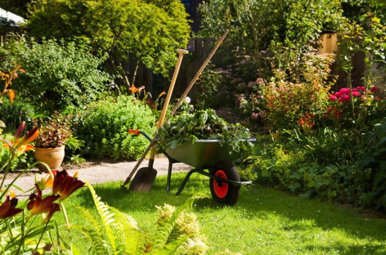 6 garden and lawn tips to get ready for spring eb07c38
