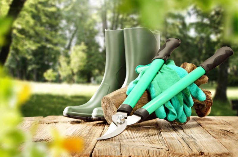 Do’s and Don’ts of Cleaning Up Your Backyard dos and donts of cleaning up your backyard f4b7cd4