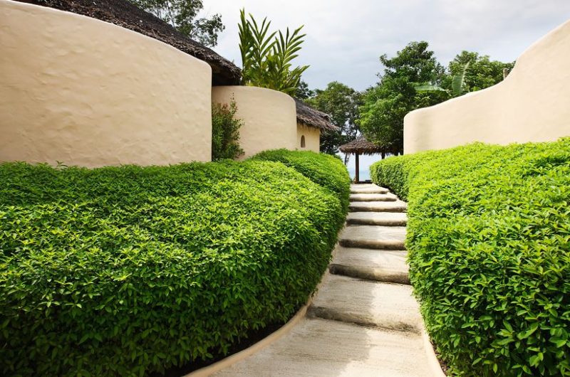 Eclectic Therapeutic Naka Island, Phuket eclectic therapeutic naka island phuket 75e8740