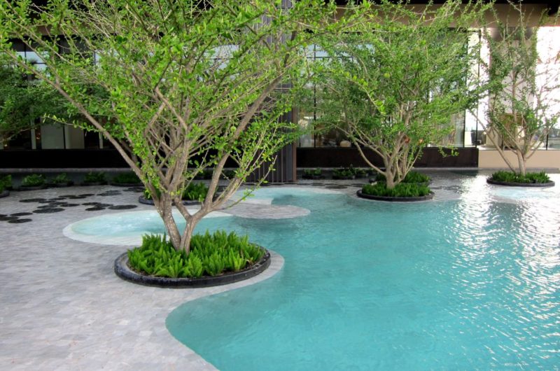 Gorgeous Landscaping Project for Thailand's Hilton Hotel gorgeous landscaping project for thailands hilton hotel 2125b02