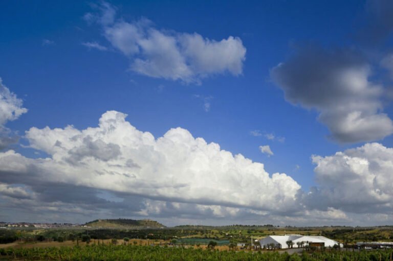 hotel land vineyards a paradise for wine enthusiasts d0d8e8b