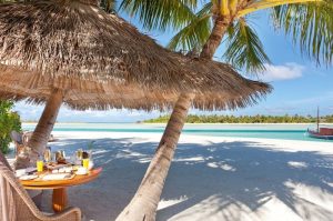secluded naladhu island in maldives ce5e350
