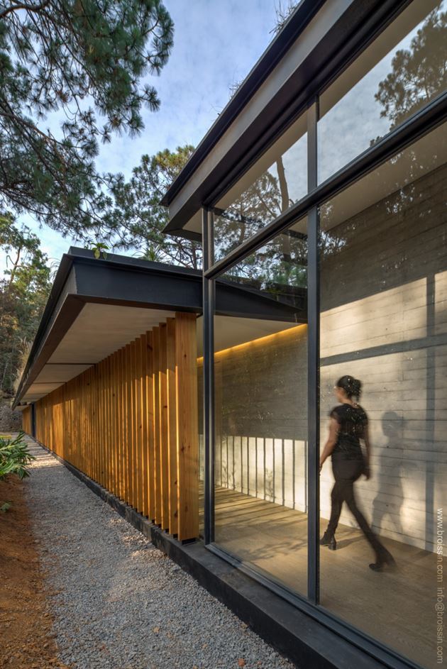 Six Beautiful ideas applicable on a house immersed in Nature six beautiful ideas applicable on a house immersed in nature 5eb5c99