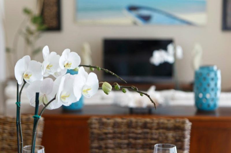 Sublime Samana Hotel & Residence on Samana Peninsula sublime samana hotel amp residence on samana peninsula 7eb7744