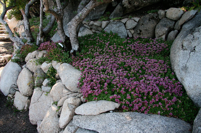 The Stunning Cliff House by Mark Dziewulski Architect the stunning cliff house by mark dziewulski architect f382138