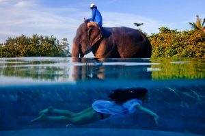 the superb villa verai on phuket island thailand be493fe
