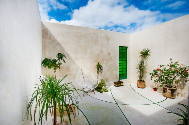 tree house is a residential project in merida mexico cede09f