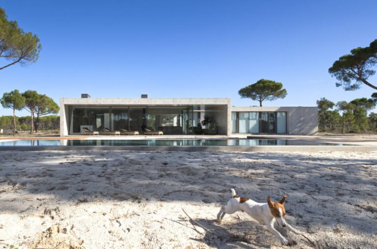 contemporary comporta house in grandola portugal f50cac3