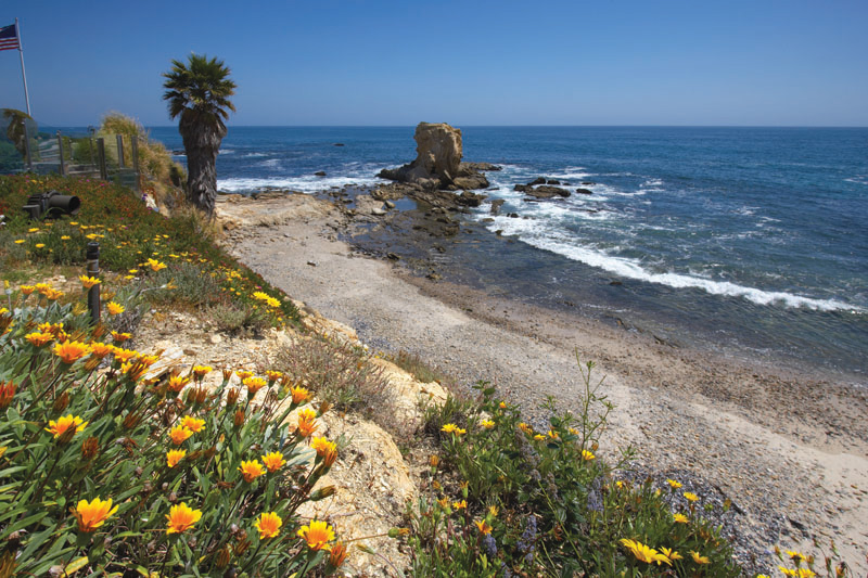 Fancy Portabello Residence in California fancy portabello residence in california 44a842a