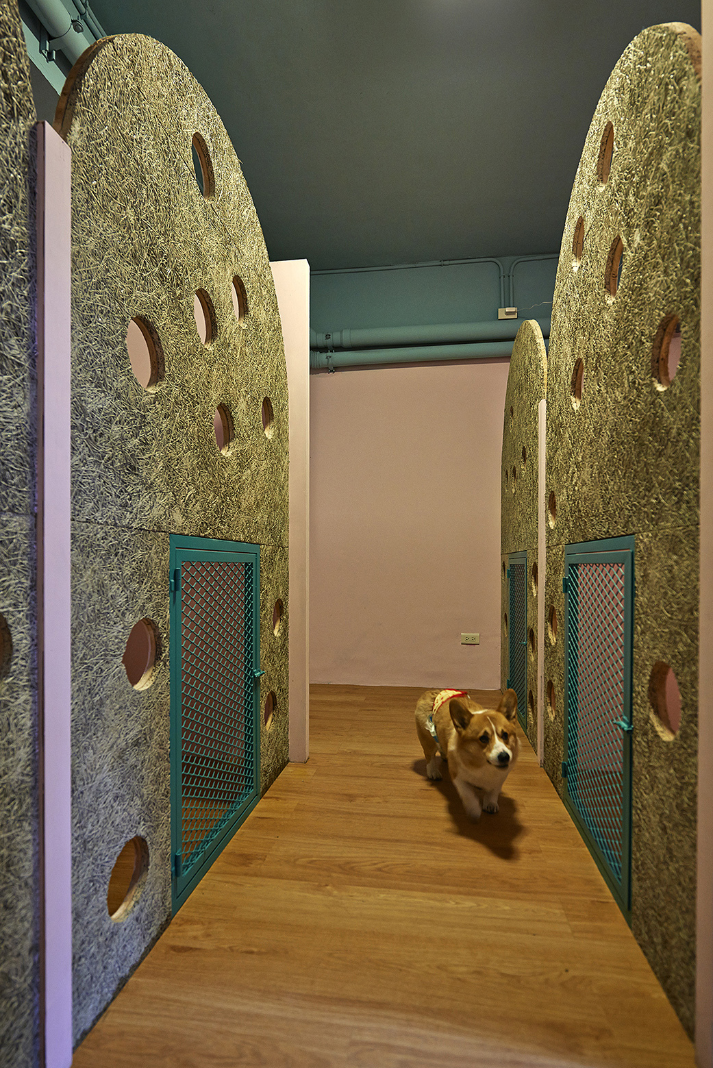 Original And Impressive Petaholic Hotel By Sms Design original and impressive petaholic hotel by sms design 2df643a