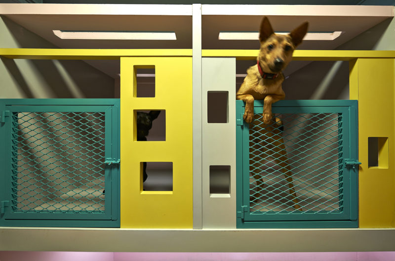 Original And Impressive Petaholic Hotel By Sms Design original and impressive petaholic hotel by sms design c686ee4