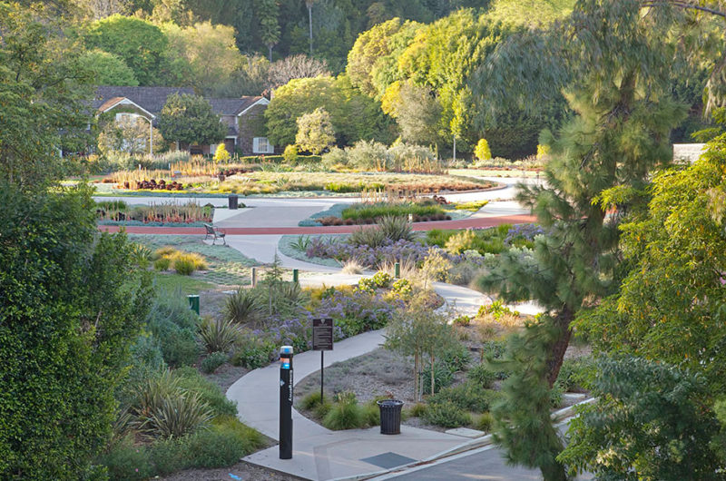 Beautiful Contemporary Residence in Beverly Hills beautiful contemporary residence in beverly hills eb7f470