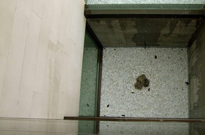 Classy Casa CM28 in Burgos, Spain by Gaztelu Jerez Arquitectos classy casa cm28 in burgos spain by gaztelu jerez arquitectos 0c423f1