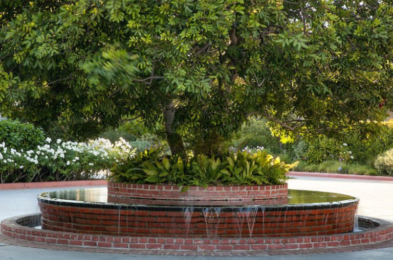 inspiring compound in toluca lake california b1bd33f