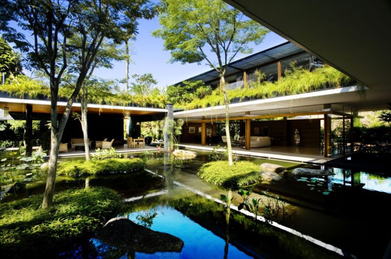 Nature-Friendly Cluny House by Guz Architects nature friendly cluny house by guz architects 3812a4b