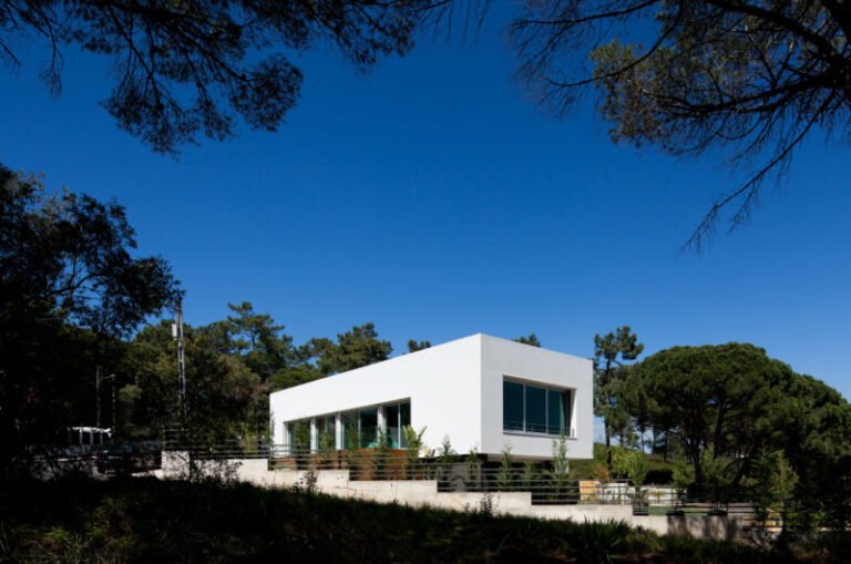 painstakingly godiva house by empty space architecture 9cb93ba