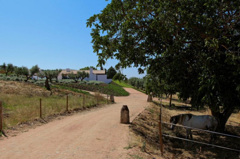 rustic yet elegant residence in vila boim portugal 0cbb51a