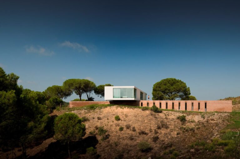 tranquil house in melides by pedro reis 9272b98