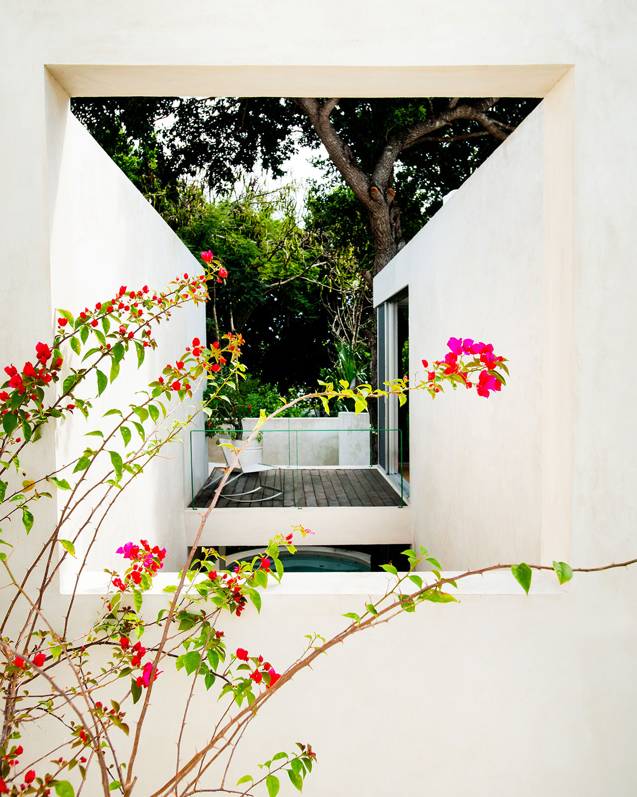 Tree House Is A Residential Project In Merida, Mexico tree house is a residential project in merida mexico c13de3a