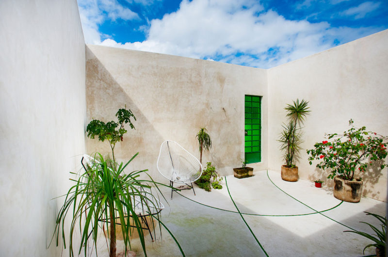 Tree House Is A Residential Project In Merida, Mexico tree house is a residential project in merida mexico ffeaffc