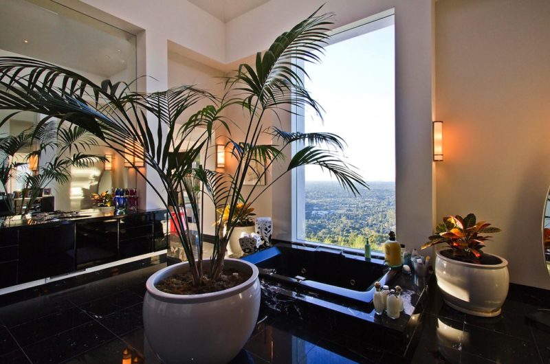 $19,999,000 Magical Los Gatos Resort-like Private Estate 19999000 magical los gatos resort like private estate 116cbbc