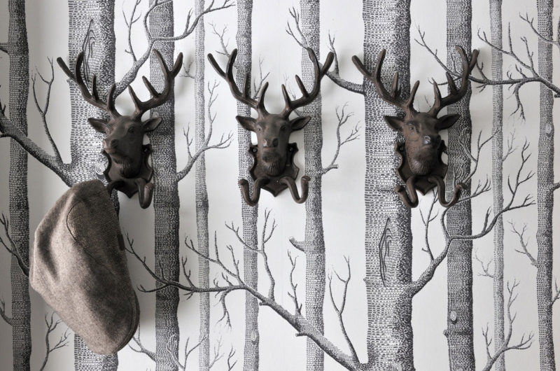 Cambrian Hotel in the Swiss Alps cambrian hotel in the swiss alps 1841588