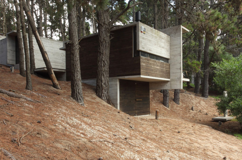 Casa BB in the Forest by BAK Architects casa bb in the forest by bak architects 120ac2a