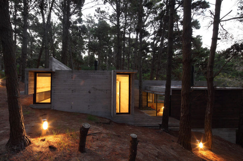 Casa BB in the Forest by BAK Architects casa bb in the forest by bak architects 170d87e