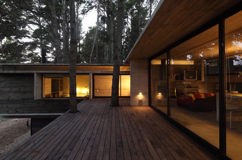 Casa BB in the Forest by BAK Architects casa bb in the forest by bak architects 23a76ff