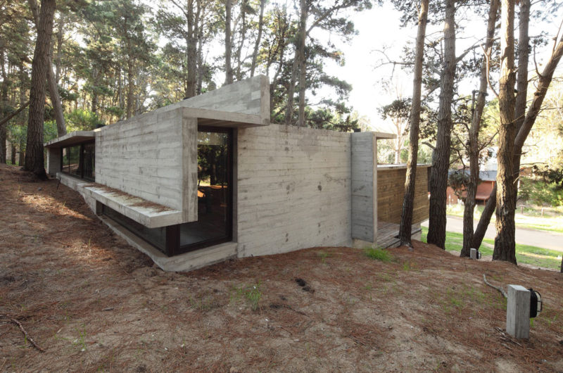 Casa BB in the Forest by BAK Architects casa bb in the forest by bak architects 33fa8a6