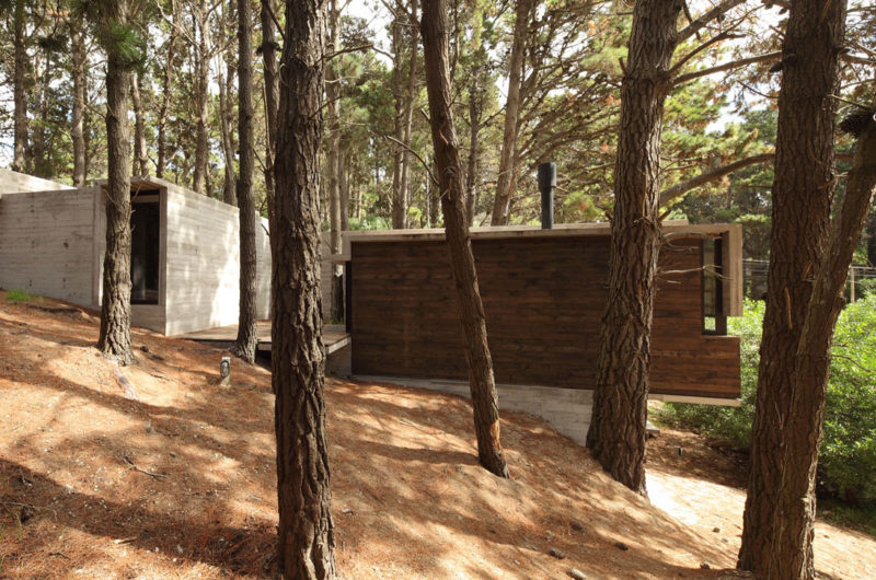 Casa BB in the Forest by BAK Architects casa bb in the forest by bak architects 36ff49d