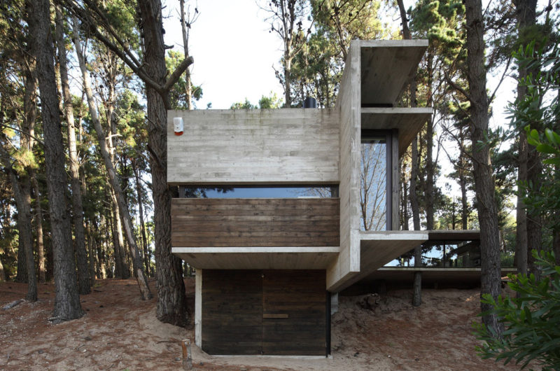 Casa BB in the Forest by BAK Architects casa bb in the forest by bak architects 45eca56
