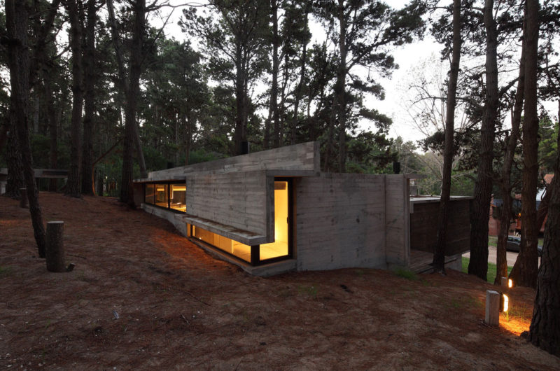 Casa BB in the Forest by BAK Architects casa bb in the forest by bak architects 5f5a3a7