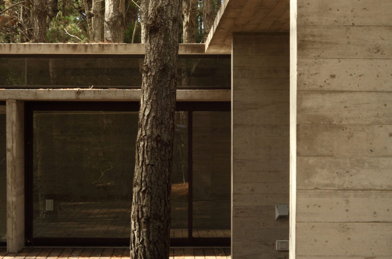 Casa BB in the Forest by BAK Architects casa bb in the forest by bak architects 6e2d1c9