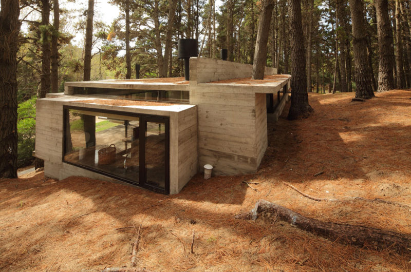 Casa BB in the Forest by BAK Architects casa bb in the forest by bak architects 80ebc3c