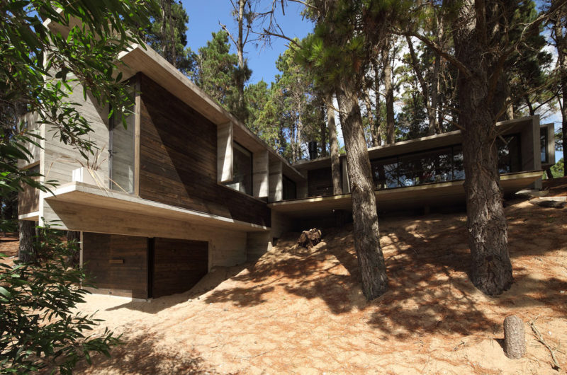 Casa BB in the Forest by BAK Architects casa bb in the forest by bak architects 97d4deb