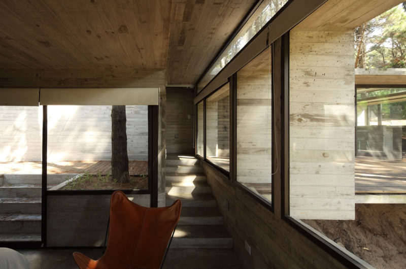 Casa BB in the Forest by BAK Architects casa bb in the forest by bak architects b3bf3e5