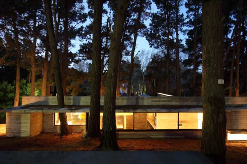 Casa BB in the Forest by BAK Architects casa bb in the forest by bak architects b78c67f