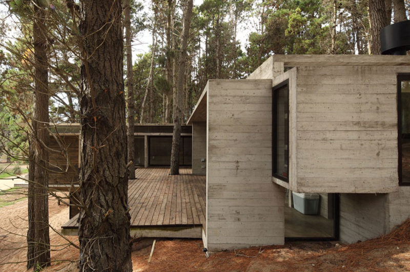 Casa BB in the Forest by BAK Architects casa bb in the forest by bak architects c445a6c