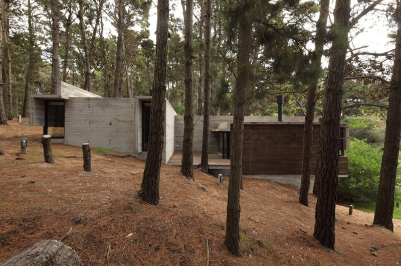 Casa BB in the Forest by BAK Architects casa bb in the forest by bak architects cfd62a3