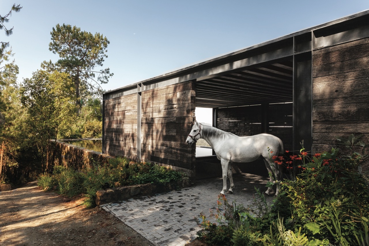 Comfortable And Spacious El Mirador Residence In Mexico comfortable and spacious el mirador residence in mexico 2553dba