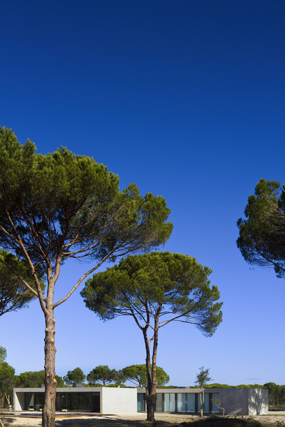 Contemporary Comporta House In Grândola, Portugal contemporary comporta house in grandola portugal e8da201