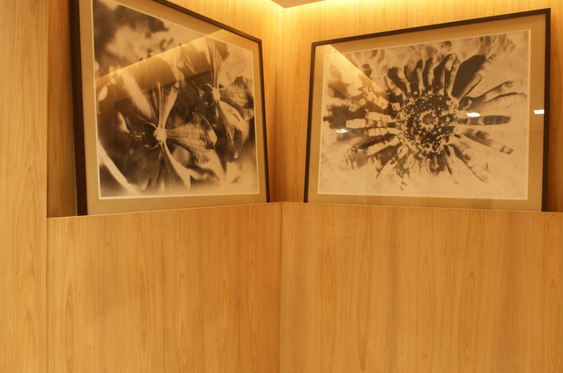 Contemporary Luz Apartment in Rio de Janeiro contemporary luz apartment in rio de janeiro 6226b13