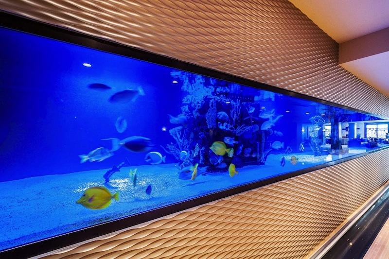 Eccentric Salt Lake City Masterpiece eccentric salt lake city masterpiece a312b67