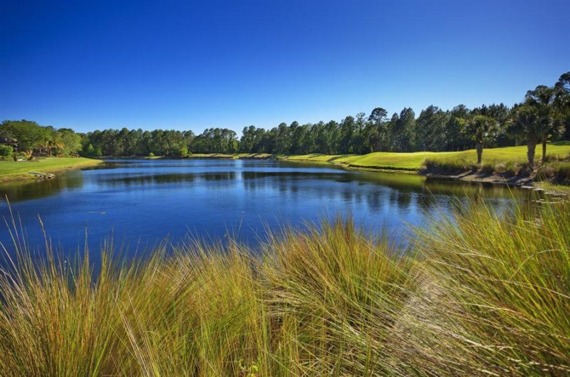 Exquisite French Country Style Estate in Florida exquisite french country style estate in florida a80b1a8