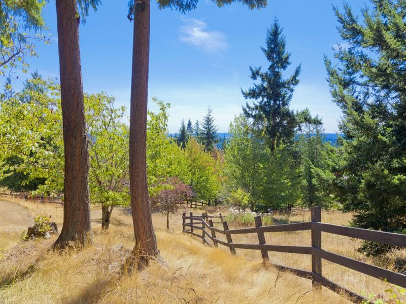 Exquisite Scimitar Ranch Priced at $8,900,000 exquisite scimitar ranch priced at 8900000 0a1e79d