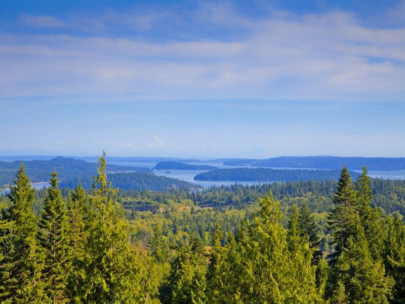 Exquisite Scimitar Ranch Priced at $8,900,000 exquisite scimitar ranch priced at 8900000 aa7291f