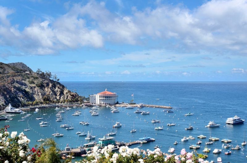 Harbor Residence in Avalon harbor residence in avalon 8fb36b3