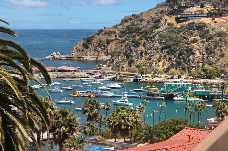 Harbor Residence in Avalon harbor residence in avalon fc74b51