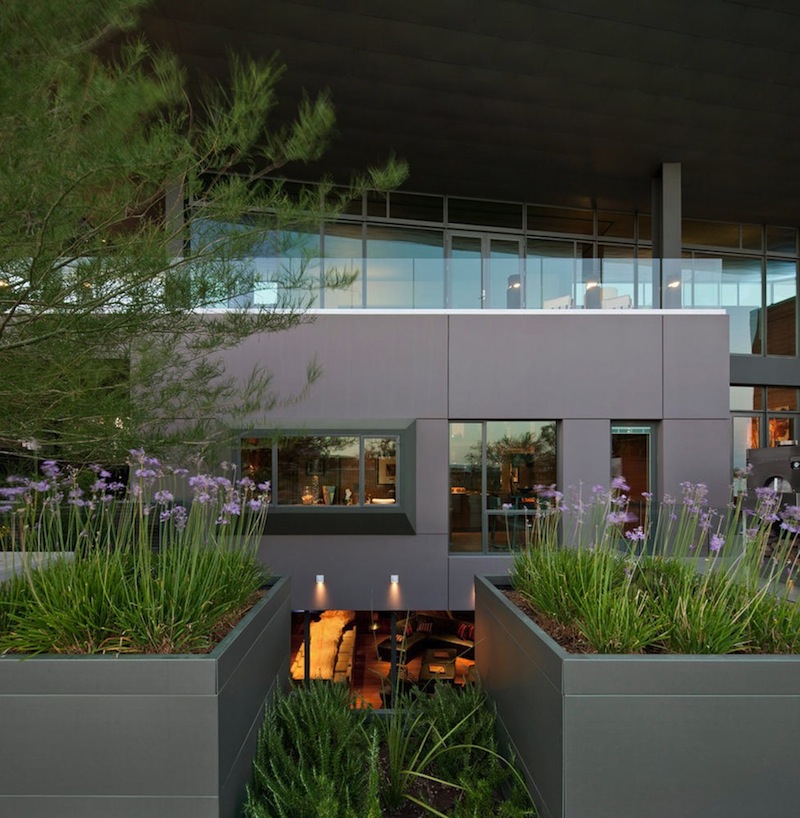 Lively Desert Contemporary Estate in Las Vegas lively desert contemporary estate in las vegas 36ae766